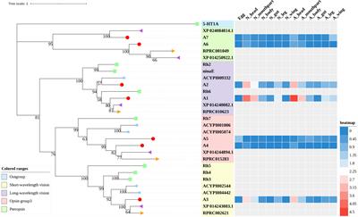 Identification and Expression Analysis of G Protein-Coupled Receptors in the Miridae Insect Apolygus lucorum